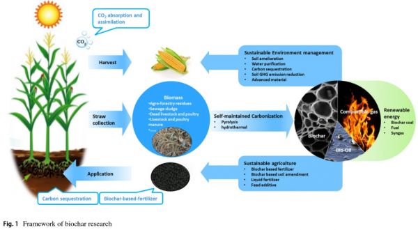 生物炭在农业上的应用